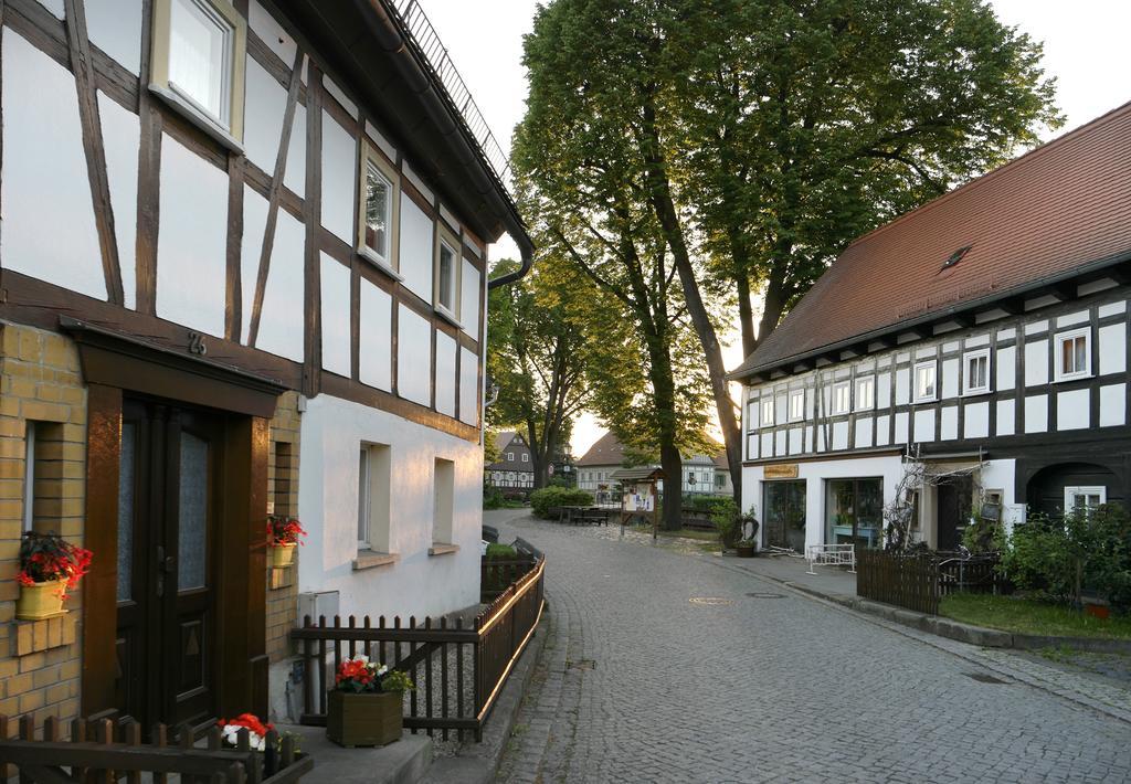 Апартаменты Goldberghaus Гросшёнау Экстерьер фото