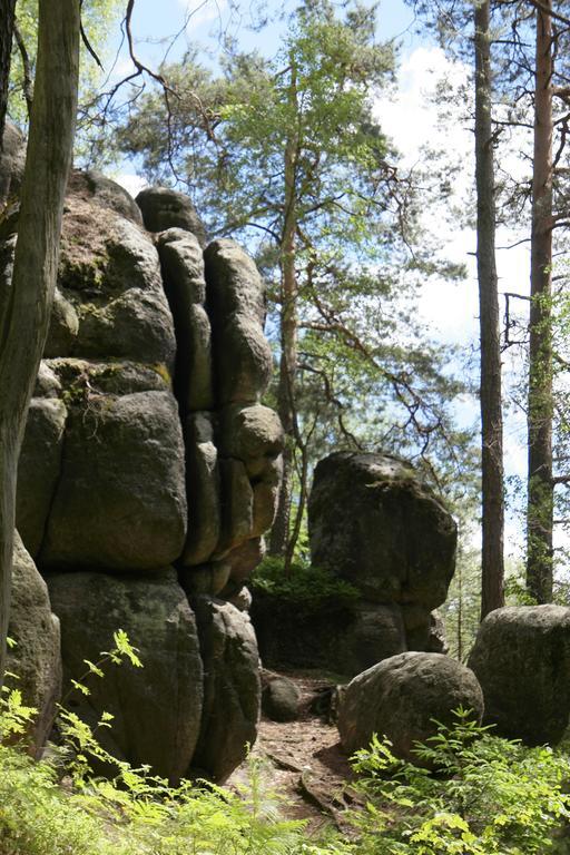 Апартаменты Goldberghaus Гросшёнау Экстерьер фото